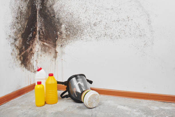 Best Attic Mold Removal  in Bling, AR
