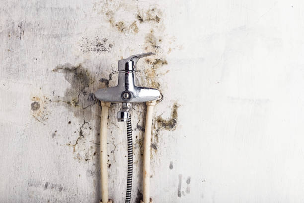Best Local Mold Removal Service  in Bling, AR