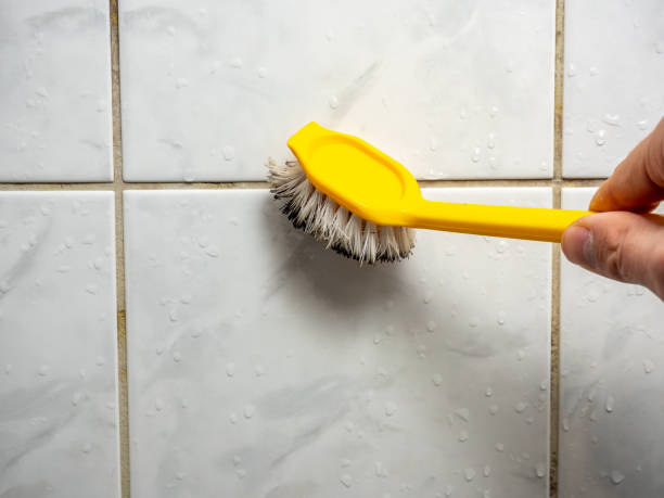 Professional Mold Removal in Barling, AR