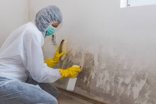 Best Residential Mold Removal  in Bling, AR