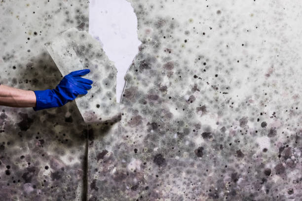 Water Damage Restoration in Barling, AR